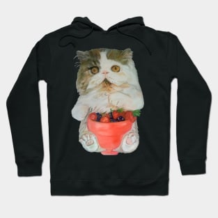 Kitten with Fruit Smoothie Hoodie